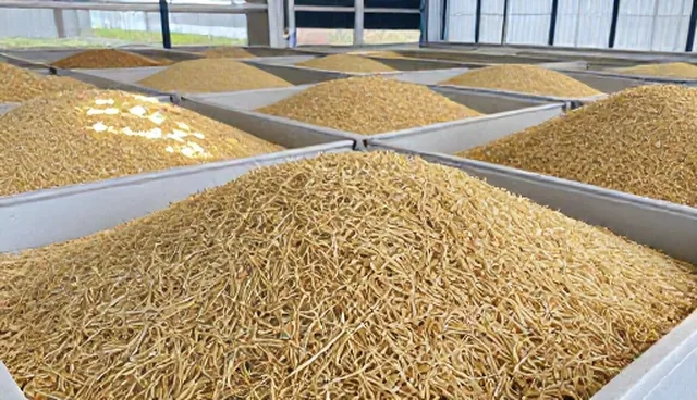农产品加工设备性能与适用限制的关联分析